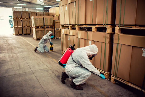 Best Pest Removal Services  in Ovilla, TX