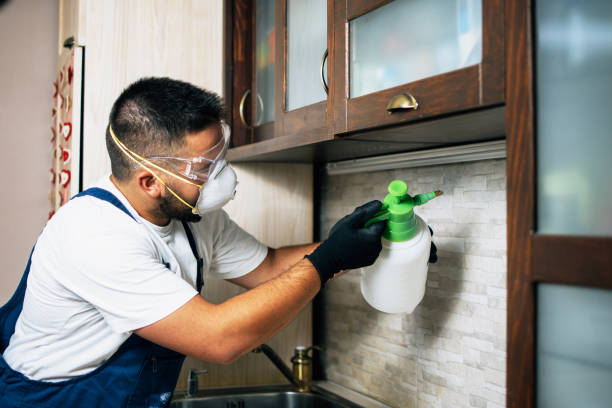 Best Best Pest Control Companies  in Ovilla, TX