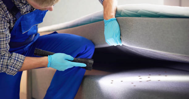 Professional Pest Control in Ovilla, TX