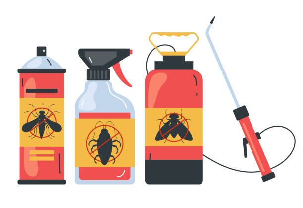 Best Spider Control Near Me  in Ovilla, TX