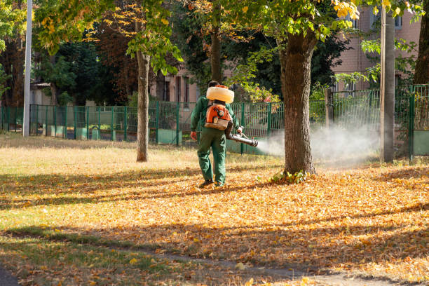 Best Affordable Pest Control Services  in Ovilla, TX