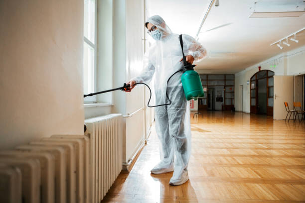 Best Local Pest Control Services  in Ovilla, TX