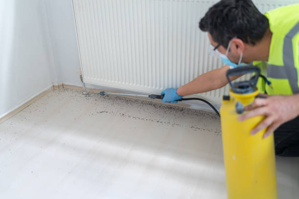 Best Pest Removal Services  in Ovilla, TX
