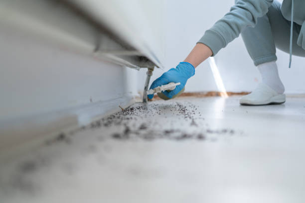 Best Emergency Pest Control  in Ovilla, TX