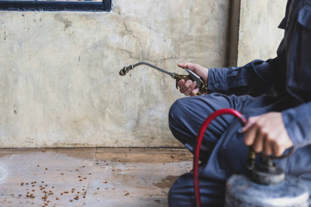 Best Affordable Pest Control Services  in Ovilla, TX